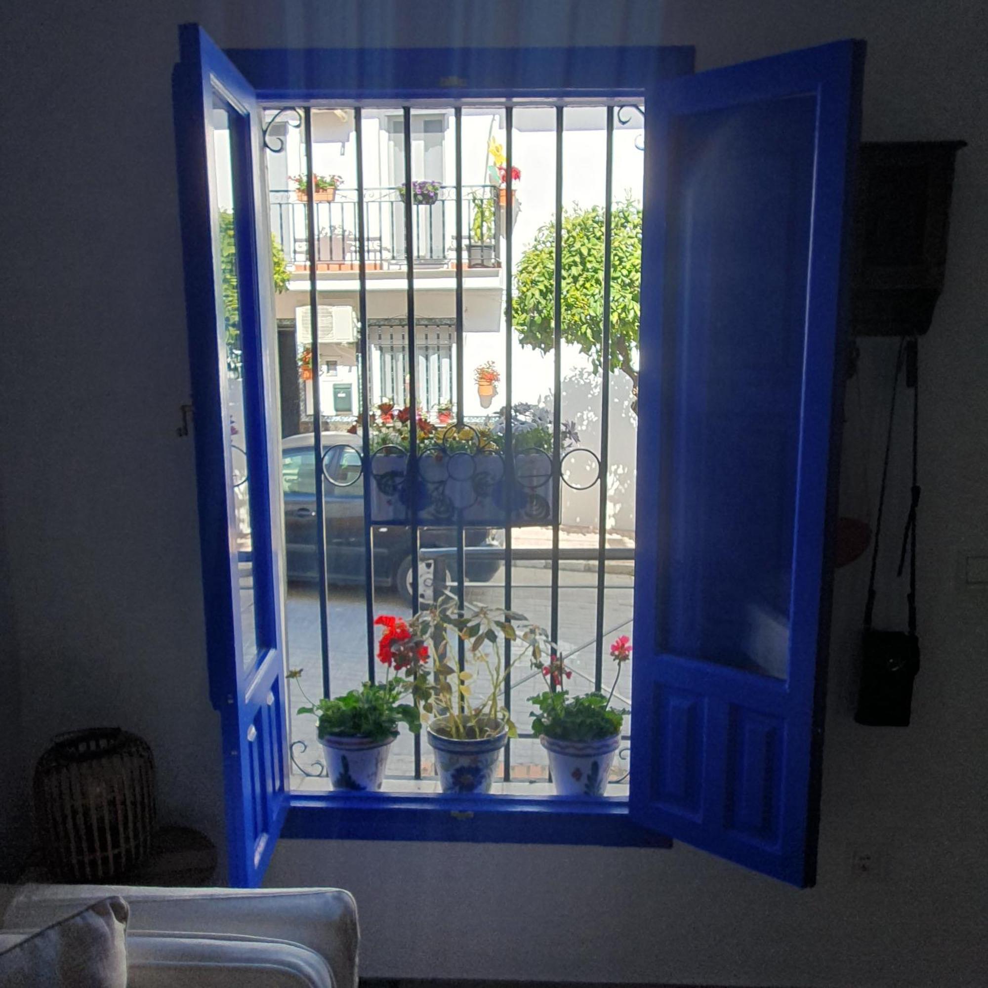 Casa Haarlemena *