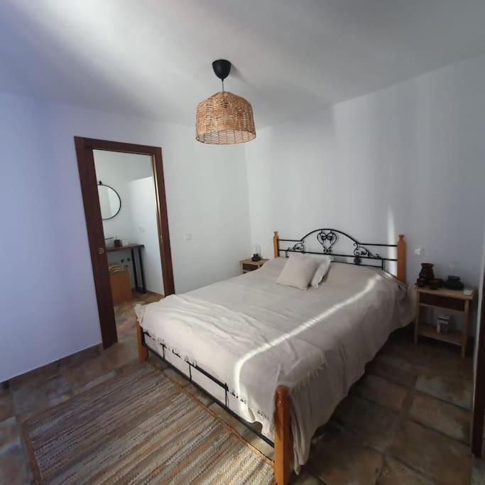 Holiday home Casa Haarlemena *
