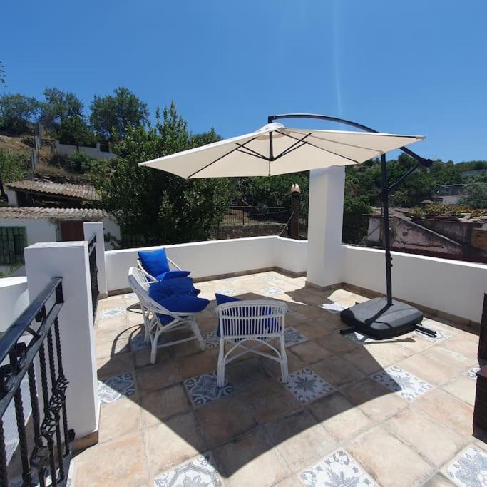 Holiday home Casa Haarlemena Monda