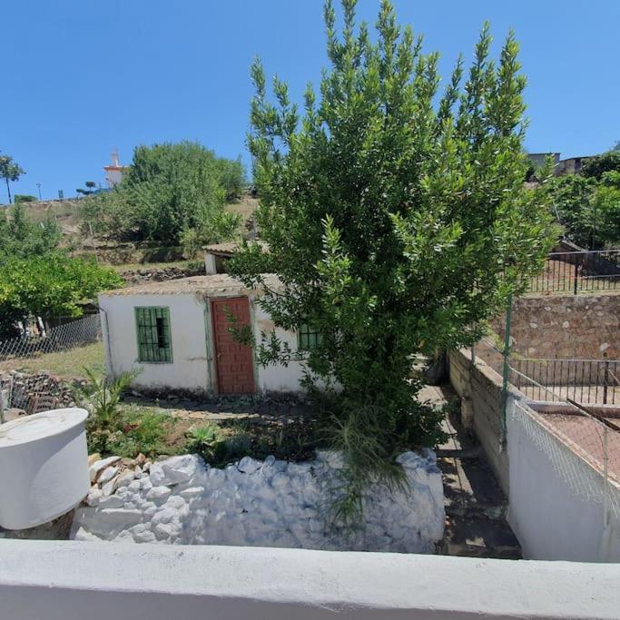 Casa Haarlemena Monda