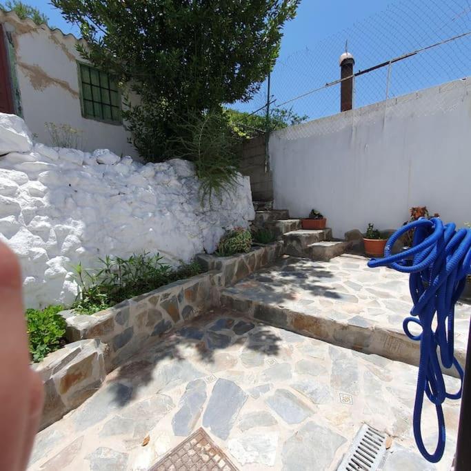 Casa Haarlemena *